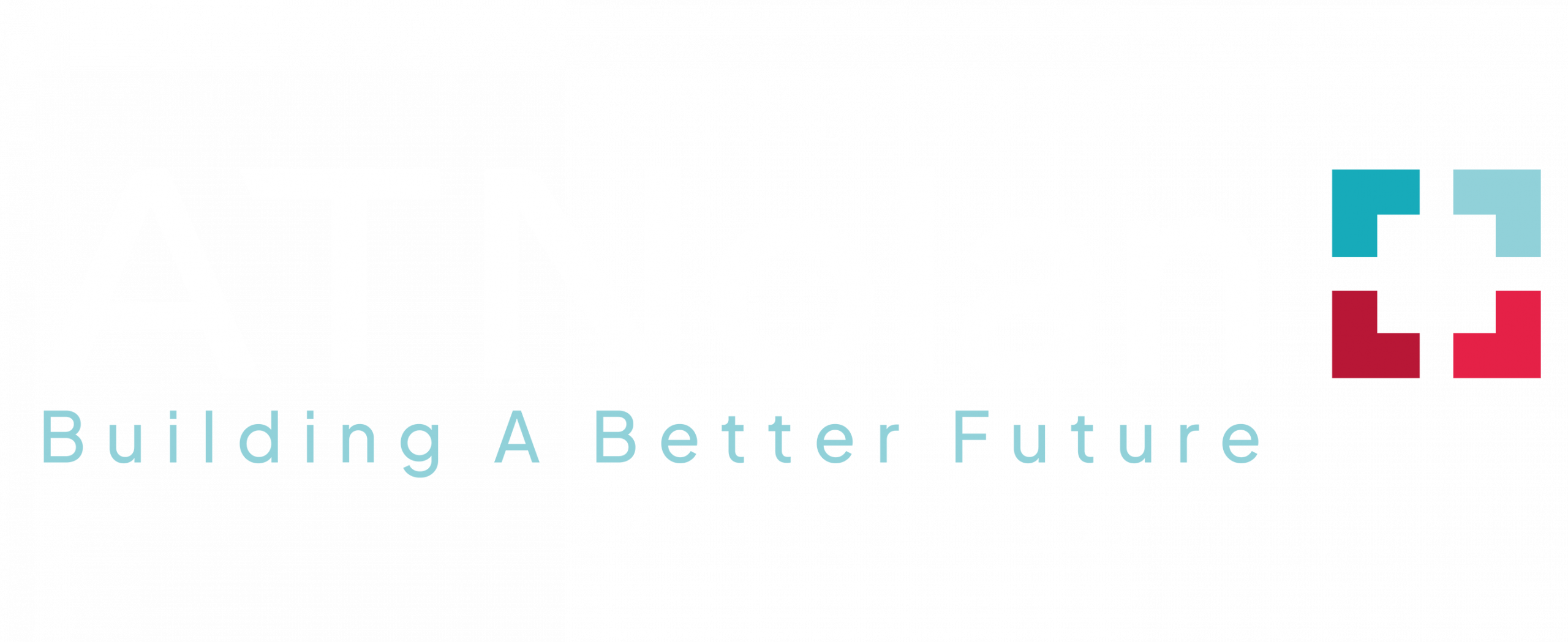 light logo